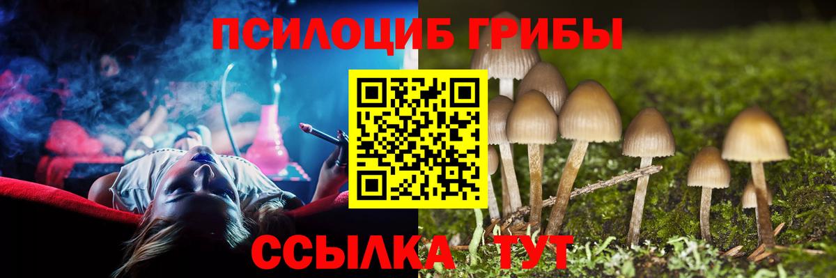 Екатеринбург  Псилоцибиновые грибы GOLDEN TEACHER  Вход с VPN 